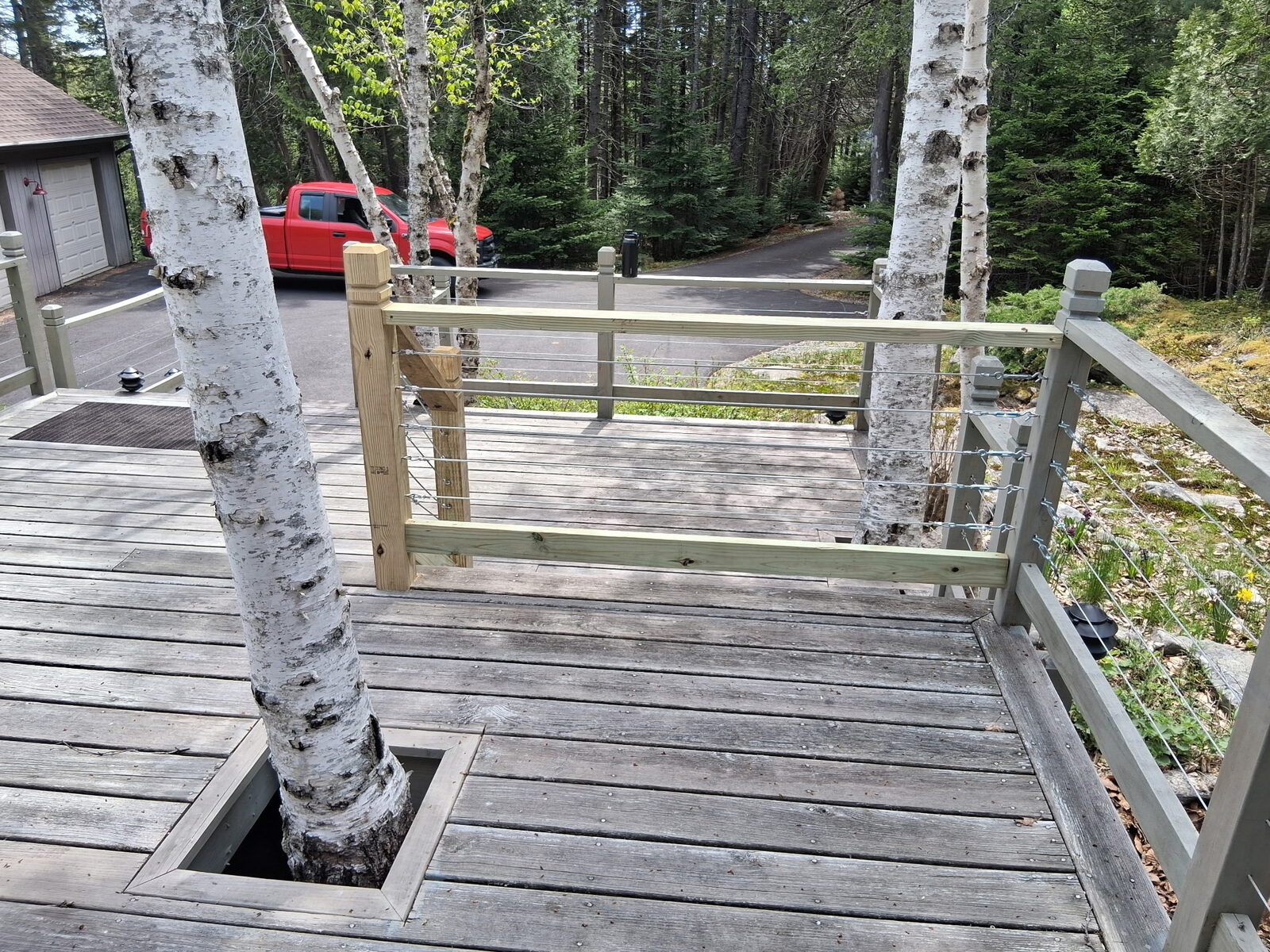 Cable-rail deck wrapped around mature birches